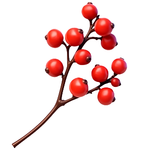 Rowan Fires